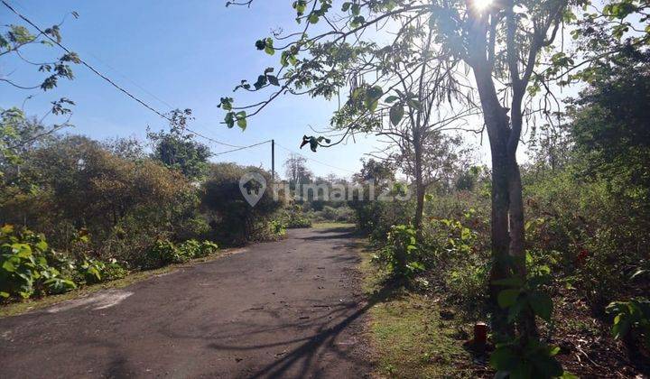 Land For Rent In Pantai Balangan, Jimbaran Vc 027 5