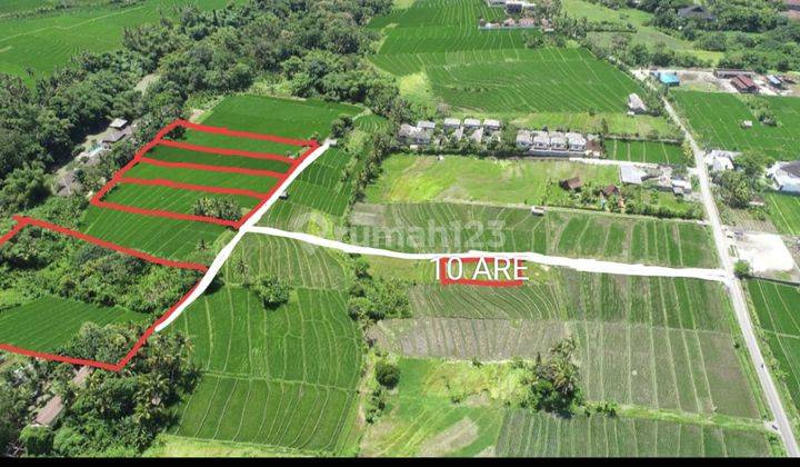 Tanah Dengan View Sawah di Pantai Nyanyi, Kh 307 2