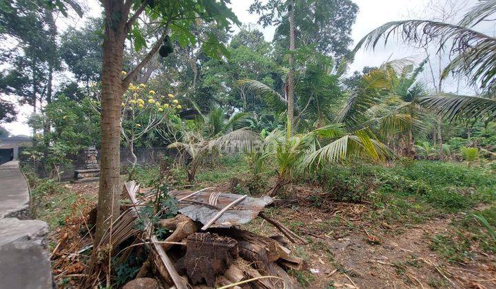 Land For Rent In Buwit, Tabanan, Udb 964  2