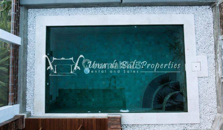 Villa For Yearly And Leasehold In Canggu, Villa Satiya Ip 295 1