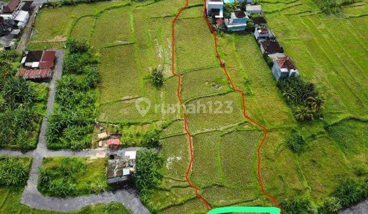 Dijual Tanah View Sawah Pinggir Jalan Raya Siangan, Le 015 1