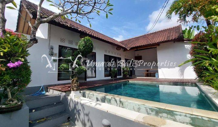 Canggu Villas For Yearly Lease, Villa Praya Ip 201 1