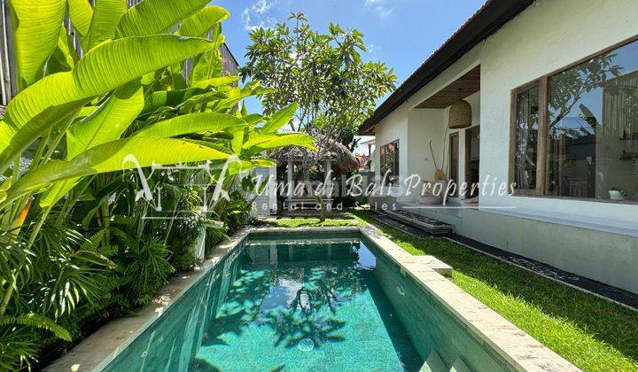 Canggu Villas For Yearly Lease. Villa Damara Ip 392 1