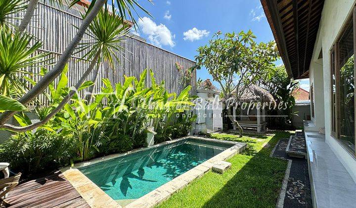 Canggu Villas For Yearly Lease. Villa Damara Ip 392 2