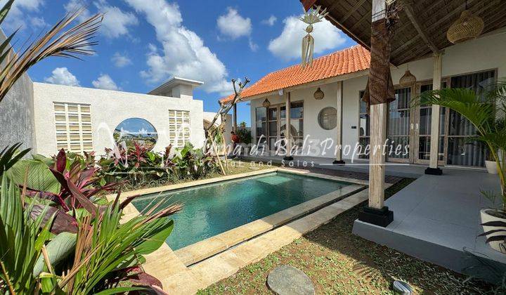 Villa Bianca Pererenan Ip 411, Minimum 3 Years Lease 1