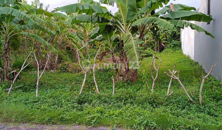 Land For Lease In Kerobokan Kaja, Badung, Rg 032 2