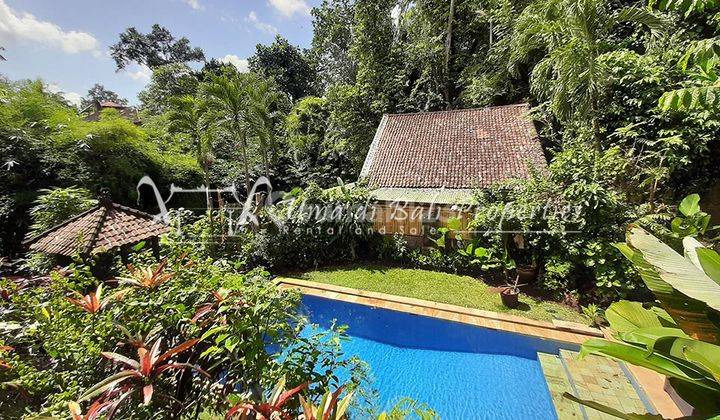 Rumah Kontrakan Bagus Furnished SHM di Cepaka, Tabanan 1