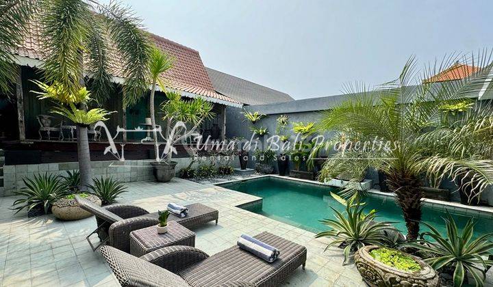 Rumah Kontrakan Bagus Furnished SHM di Canggu, Badung Ip 539 2