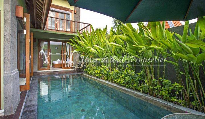 Rumah Kontrakan 2 Lantai Bagus Furnished SHM di Umalas, Badung Ar 222 1