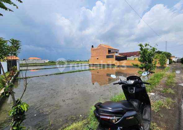 Land For Lease Near Cemagi Beach | Pg 122