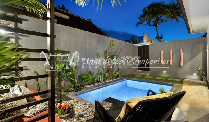 2Br Villa For Rent In Seminyak | Ip 880 2
