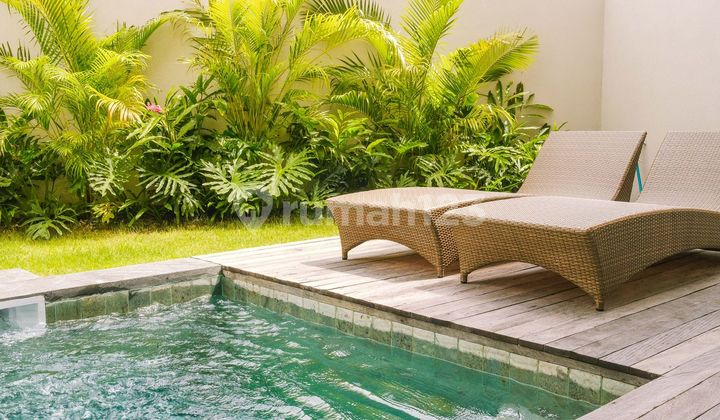 Brand New Luxury Villa for Long term Rental- Padang Linjong, Batu Mejan, Canggu | IP 844 2
