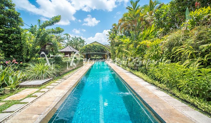 Rumah Kontrakan Bagus Furnished SHM Seminyak, Badung IP 624  2