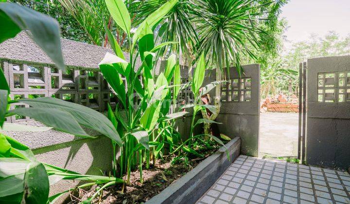 Rumah Kontrakan Bagus Furnished Sibang Gede, Badung IP 618  2