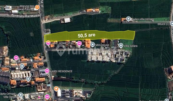 Premium Land For Lease - Main Road To Pantai Mengening, Cemagi | Pg 118 Premium Land For Lease - Main Road To Pantai Mengening, Cemagi | Pg 118