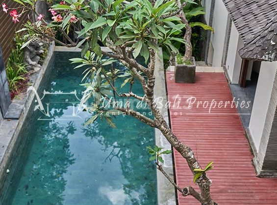 3BR VILLA FOR RENT IN UMALAS | IP 697  2