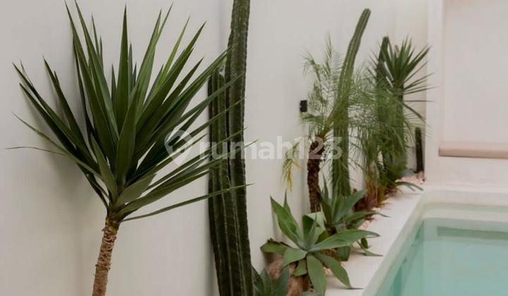 2BR VILLA FOR RENT IN CEMAGI | IP 815