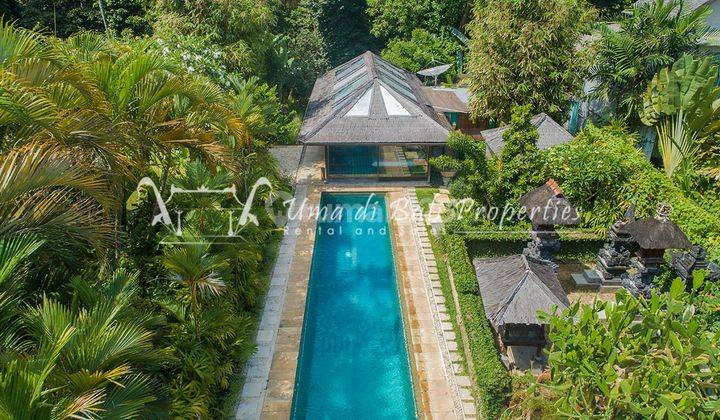 Rumah Kontrakan Bagus Furnished SHM Seminyak, Badung IP 624  1