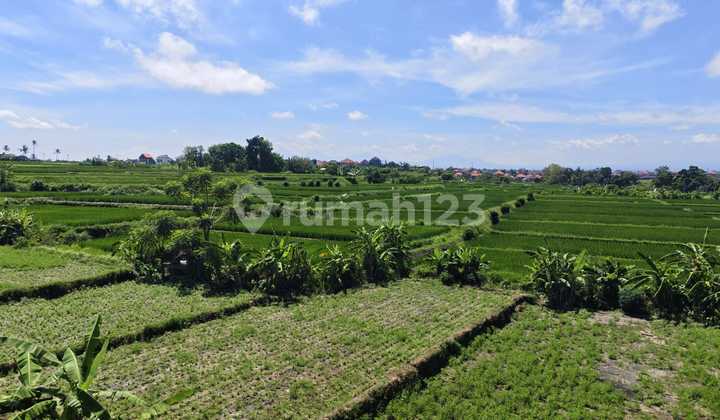 For Sale Small Plot of Land in Ketewel, Sukawati - Bali | RG 163