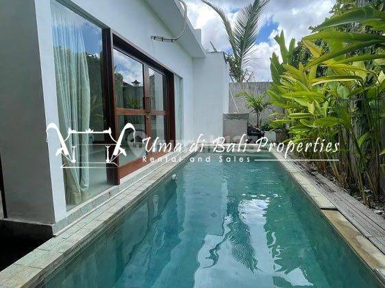 Stunning Three Bedroom Villa With A Private Pool On The Main Area Of Canggu.