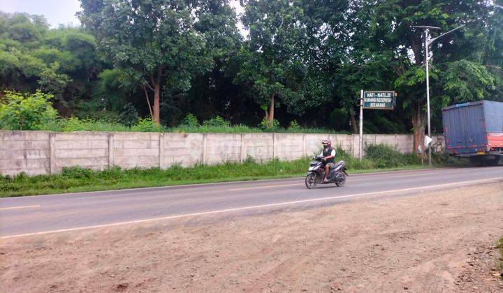 Tanah jarang ada di areal kawasan industri  10