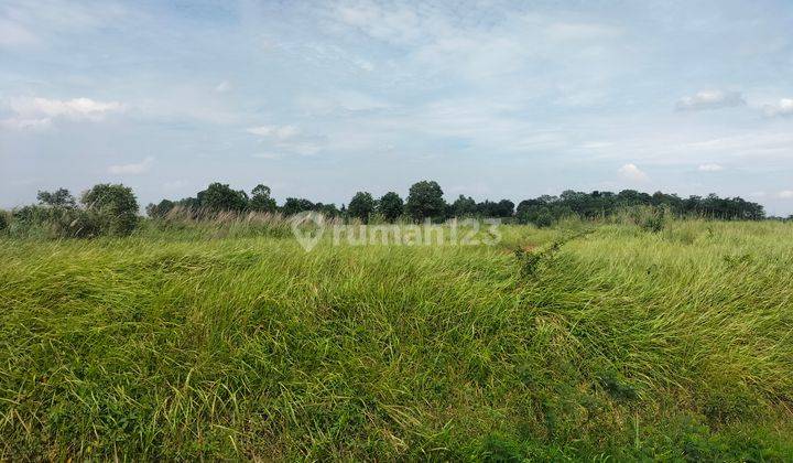 Tanah kawasan industri, buat pabrik dan gudang 5