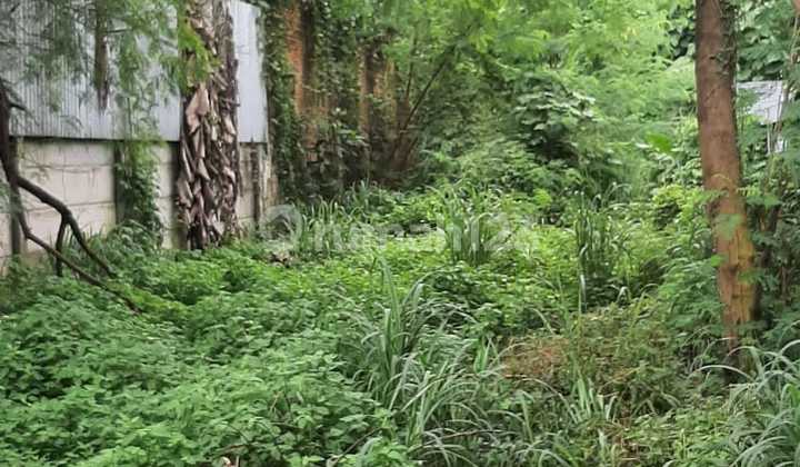 Harga NJOP 2025 Tanah Tidak Jauh Dari Kemang Raya