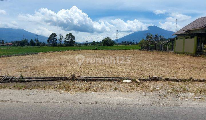 Bukit Tinggi Tanah Pusat Kota Shm 2