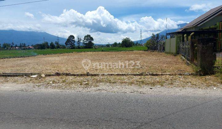 Bukit Tinggi Tanah Pusat Kota Shm 1