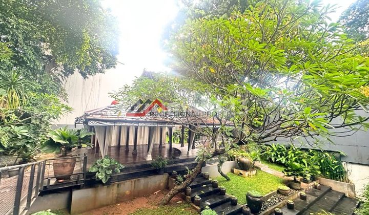 Ruang Usaha Harga Menarik di Bawah NJOP Area Kemang Jakarta Selatan