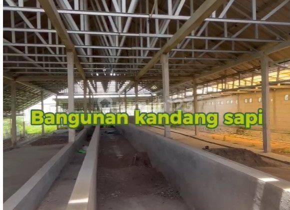 Dijual Termurah Kavling di Jl. Pasir Gintung Jayanti Tangerang Banten 2