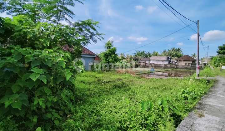 Prime 200 Sqm Of Leasehold Land: Build Your Dream In Ubud!