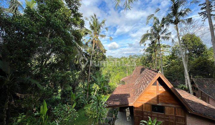 Stunning Ubud Property with Breathtaking Valley Views - Ready for Your Personal Touch 2