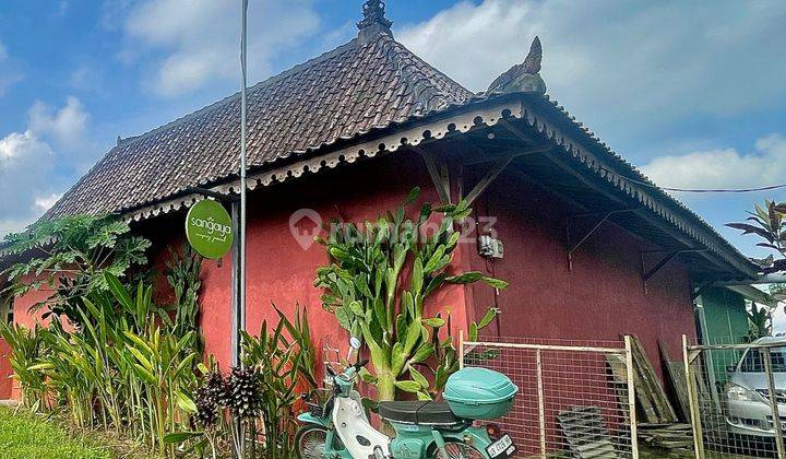 Cozy Fully Furnished Home for Yearly  in Ubud - Perfect Location! 2