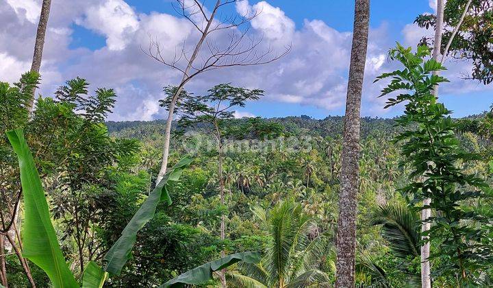 5.850 Sqm of Freehold Land  with Beautiful Mountain View Located in Tabanan 1