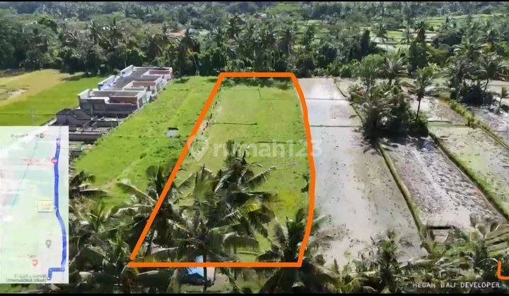 Prime 3.130 sqm of Leasehold Land with Stunning Rice Field Views in Ubud - Walking Distance from Empathy School 1