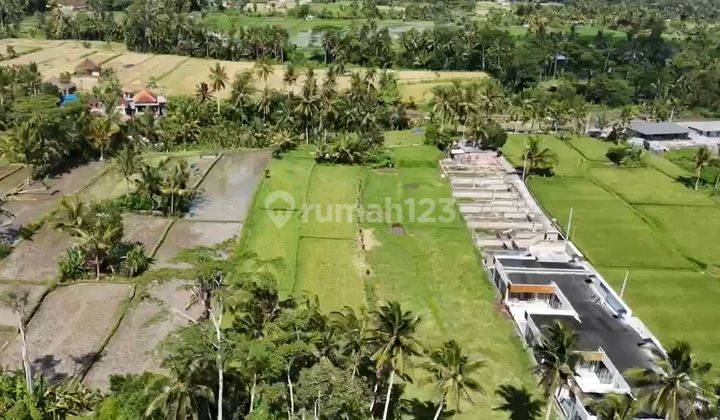 Prime 3.130 sqm of Leasehold Land with Stunning Rice Field Views in Ubud - Walking Distance from Empathy School 2