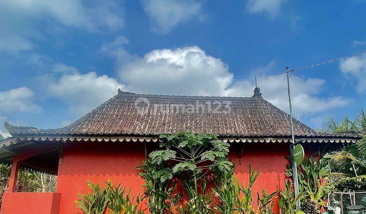 Cozy Fully Furnished Home for Yearly  in Ubud - Perfect Location! 1