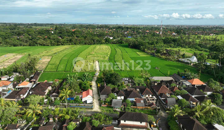 For Sale Freehold and Leasehold - Land area Kaba - Kaba , Tabanan - Bali