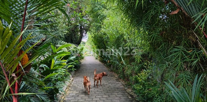 Leasehold - For Sale Of A Fully-Furnished Modern Serene Designer Villa With Eclectic Interior Design In Buwit, Tabanan - Bali