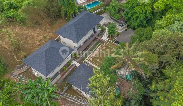 For Sale Leasehold - Brand New Riverside Estate Jungle Chill Like Ubud With Riverfront Lap Pool In The Heart Of Pererenan - Canggu , Bali