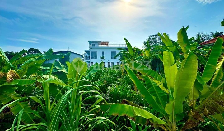 For Sale Leasehold - Brand New Hidden Cozy Villa Close to Pererenan, Bali