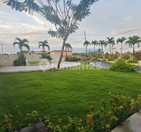 For Sale - Leasehold - Brand New Villa With Huge Garden And Pool In Between Kerobokan And Canggu, Bali