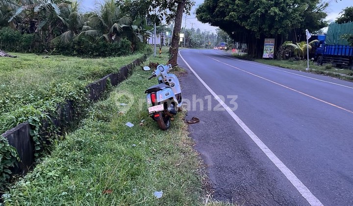 Leasehold Land for Sale - Prime Land in Jembrana, Bali Leasehold Land for Sale - Prime Land in Jembrana, Bali