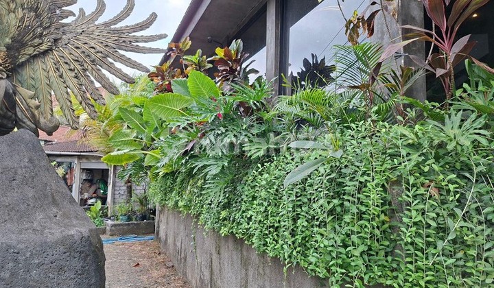 Leasehold - Prime 4 Story Commercial Space In Ubud, Bali 2