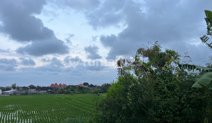 For Annual Rental - 1 bedroom villa in quiet spot  area Dalung , Bali