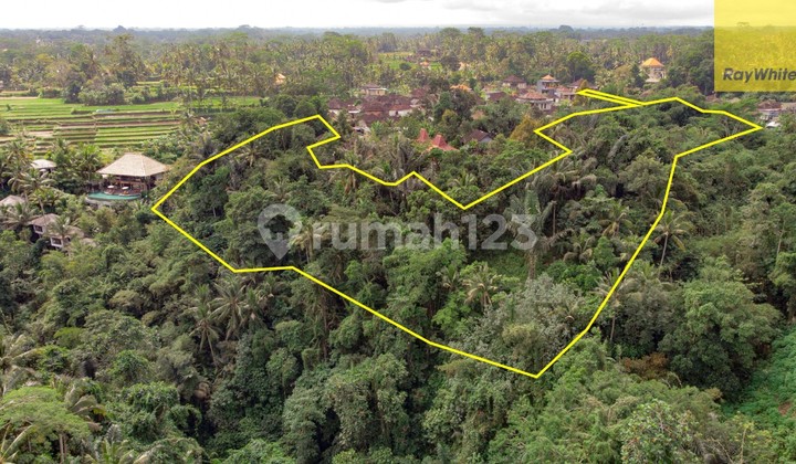 12,619 sq m of Freehold Land with Stunning River and Valley Views Located 7 Minutes from Ubud Palace