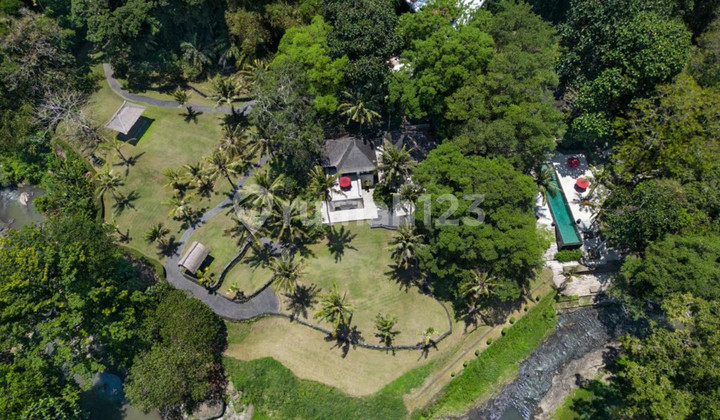  For Sale Freehold and Leasehold beautiful estate villa overlooks a tropical river and surrounded by rice fields and lush jungle close to Canggu , Bali