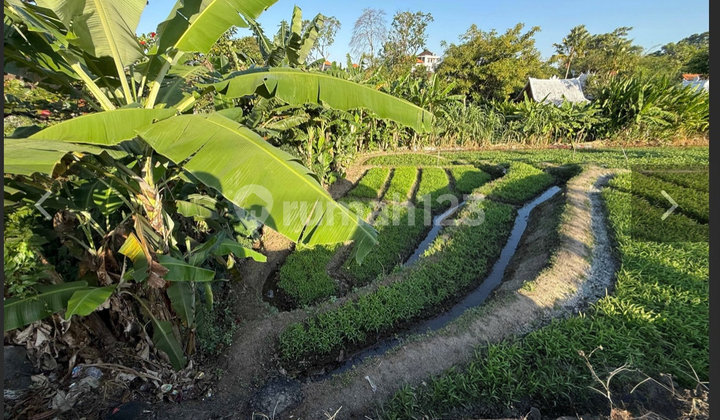 Leasehold - Rare Riverside Leasehold Land In Padonan, Canggu Area