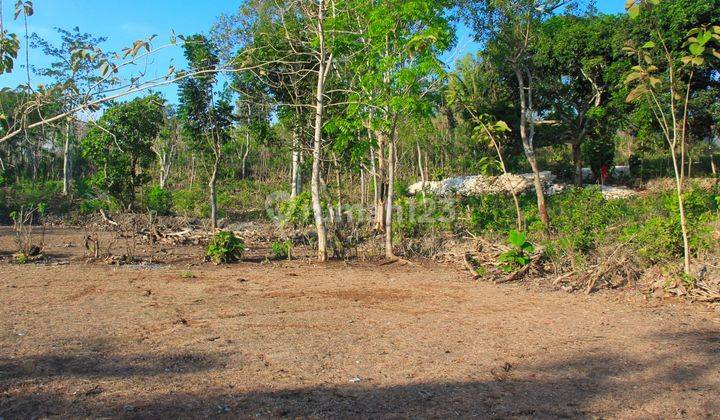 3000 Sqm Land Freehold In Pecatu Bukit 1